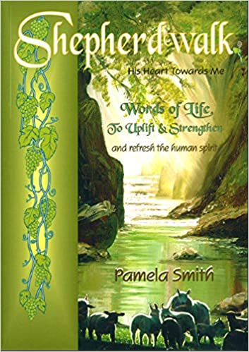 Cover of Shepherd Walk