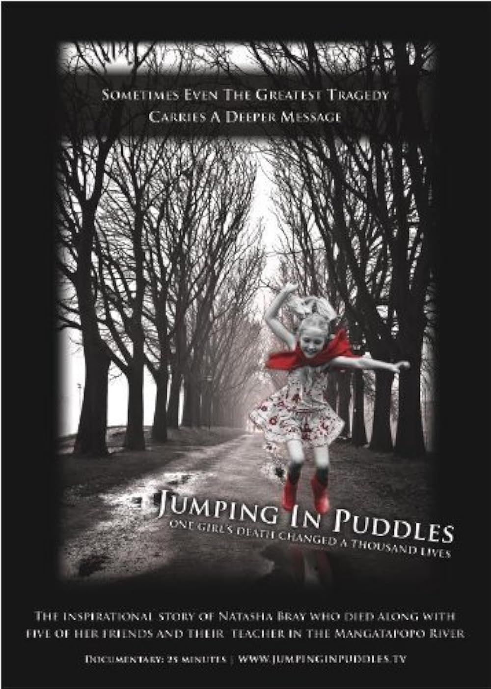 Cover of Jumping In Puddles - DVD