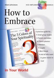Cover of How To Embrace - The 3 Colors Of Your Spirituality