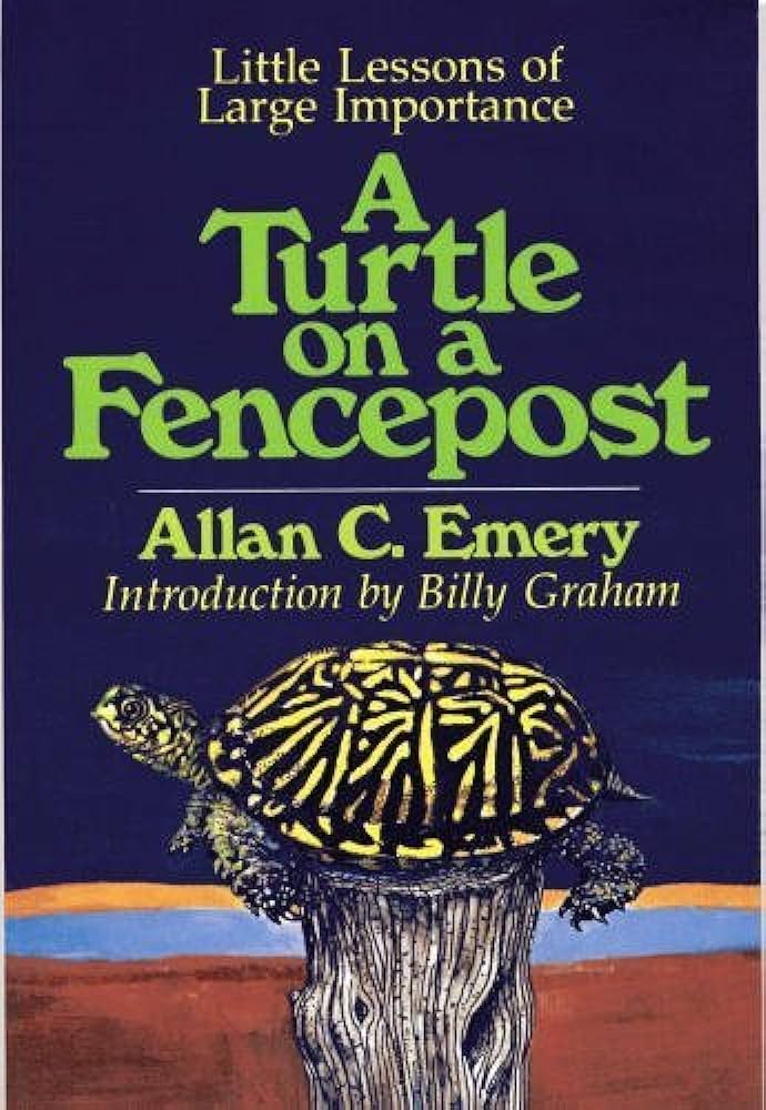 Cover of A Turtle on A Fence Post