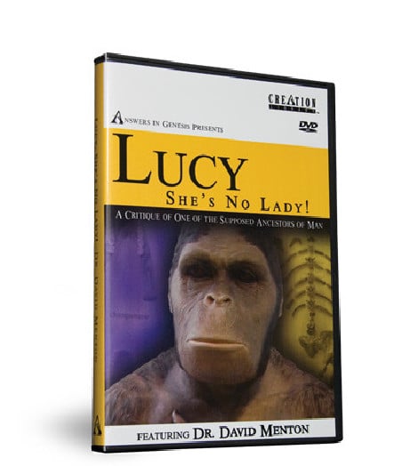 Cover of Lucy - Shes No Lady
