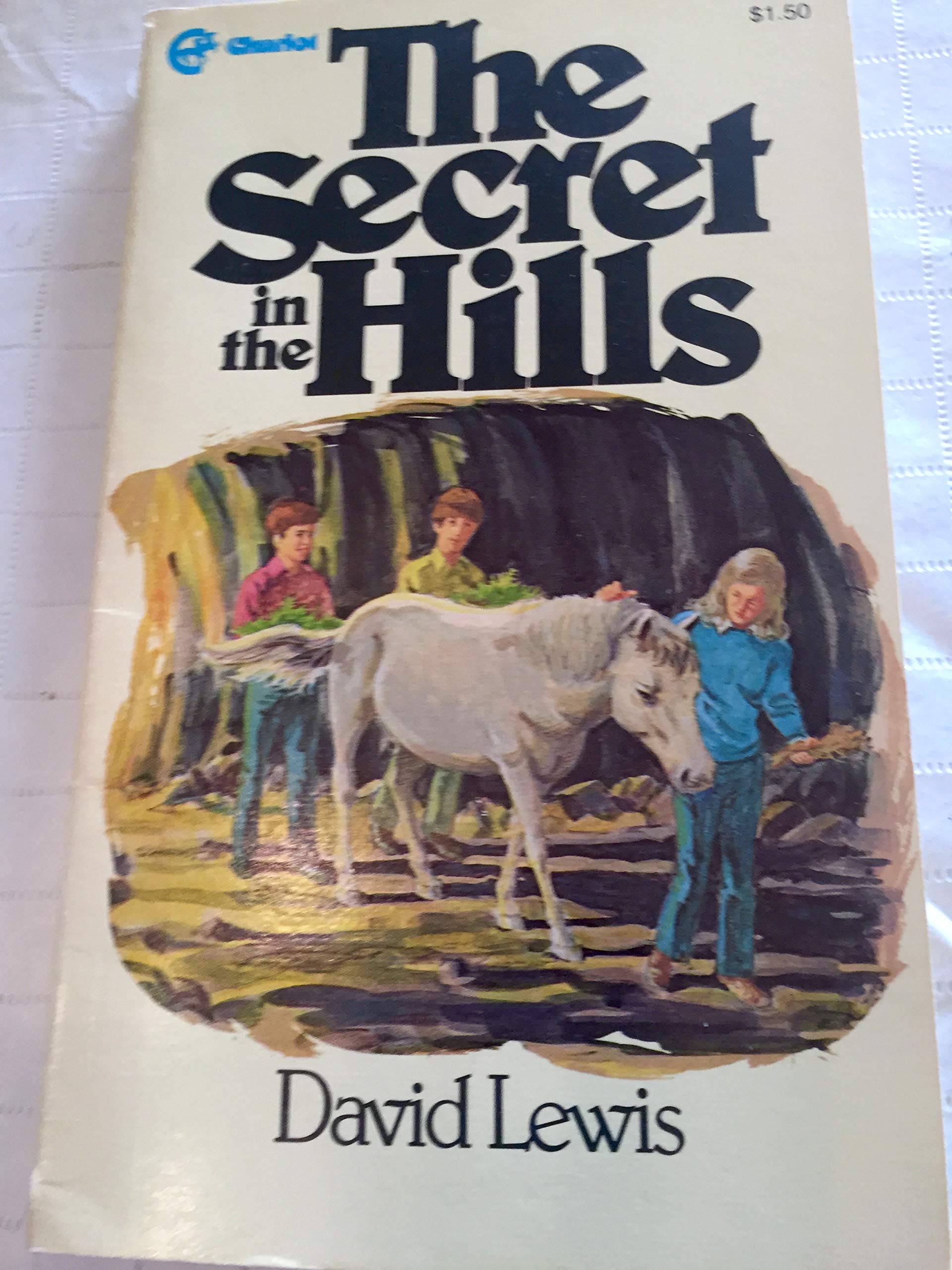 Cover of The Secret In The Hills
