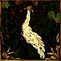 Cover of Fortunate Fall - CD