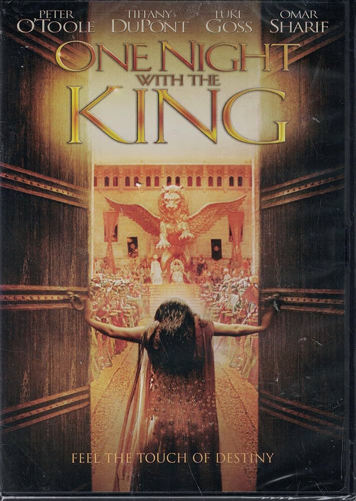 Cover of One Night With The King - Feel The Touch Of Destiny - DVD