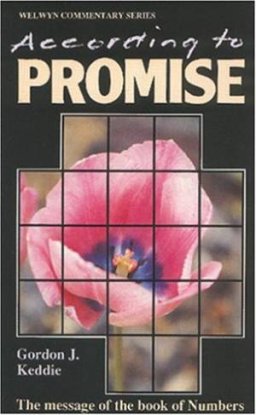 Cover of According to Promise - Numbers - Welwyn