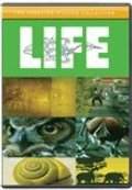 Cover of Life - DVD