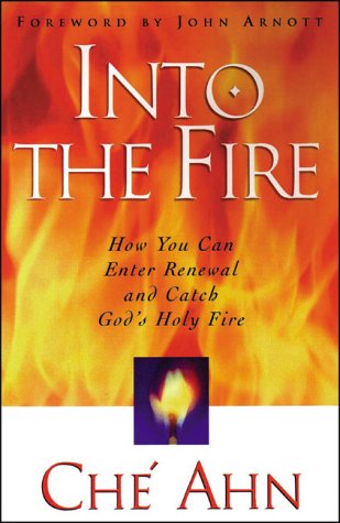 Cover of Into the Fire
