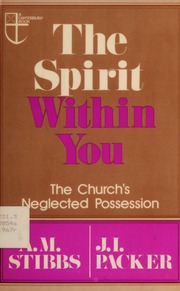 Cover of The Spirit Within You - the Churchs Neglected Possession