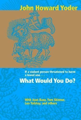 Cover of What Would You Do