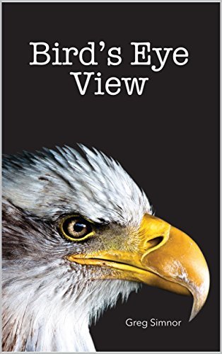 Cover of Birds Eye View