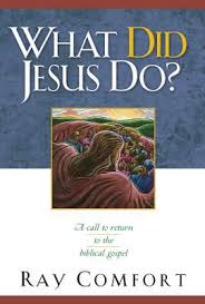 Cover of What Did Jesus Do ? - A call to return to the biblical gospel