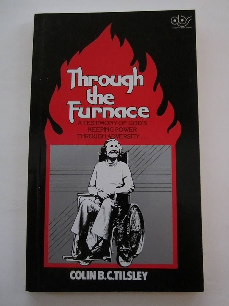 Cover of Through the Furnace