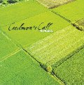 Cover of 40 Acres - CD