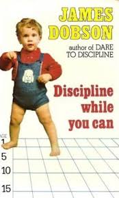 Cover of Discipline While You Can