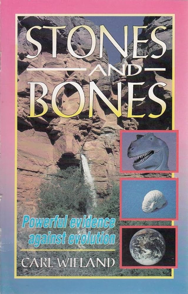 Cover of Stones and Bones