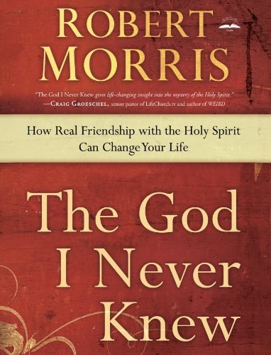 Cover of The God I Never Knew