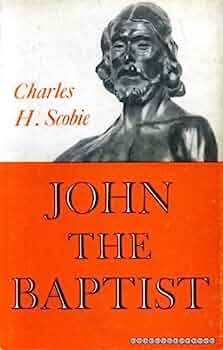 Cover of John the Baptist: A New Quest of the Historical John