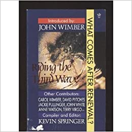 Cover of Riding the Third Wave - what comes after renewal