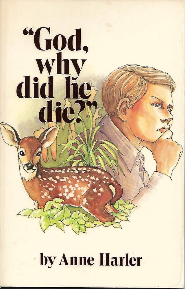 Cover of God Why Did He Die?