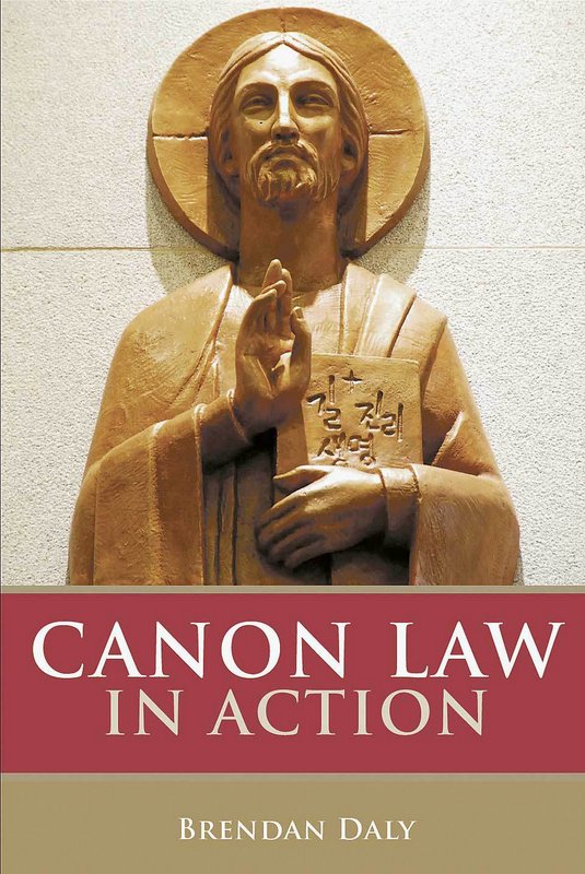 Cover of Canon Law In Action