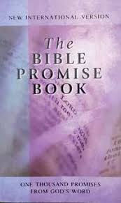Cover of The Bible Promise Book