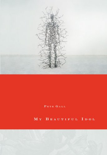 Cover of My Beautiful Idol