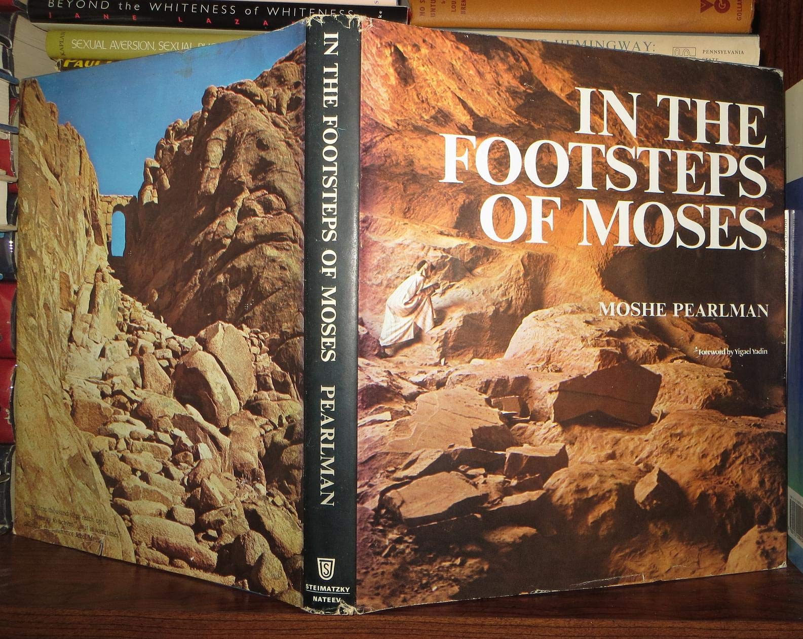 Cover of In the Footsteps of Moses