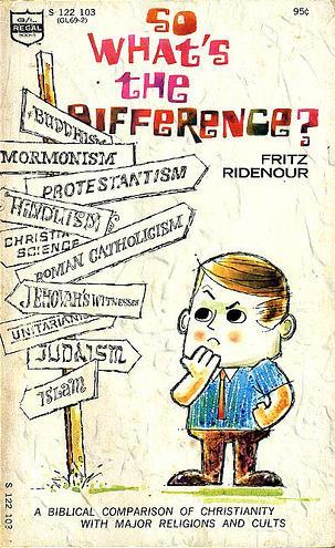 Cover of So Whats the Difference