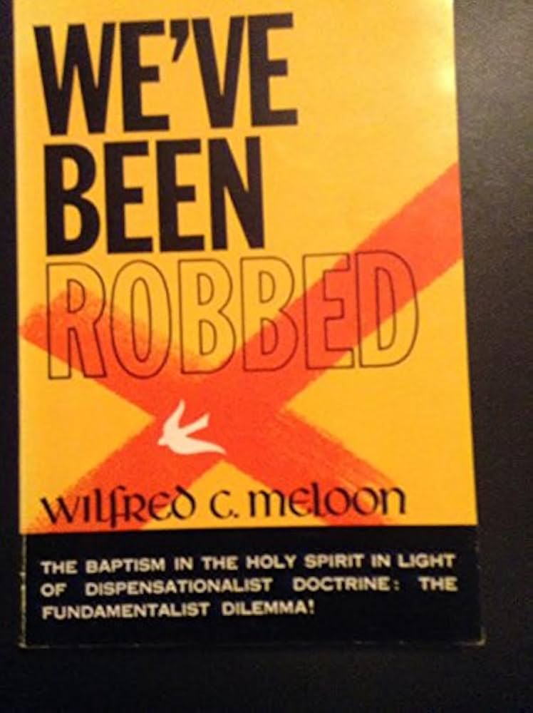 Cover of Weve Been Robbed