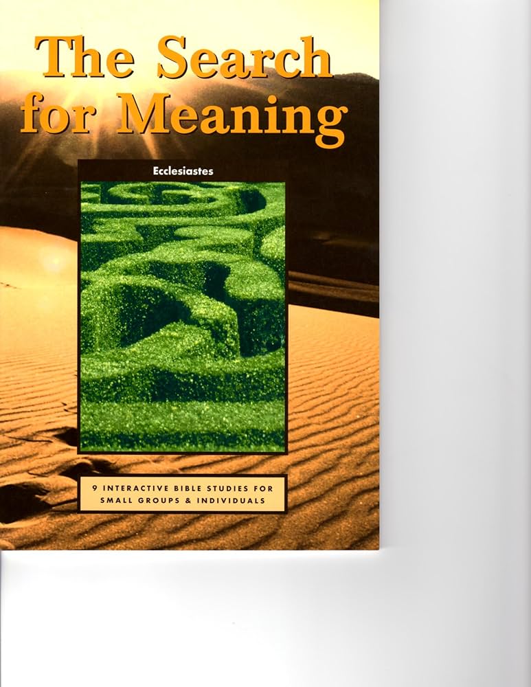 Cover of The Search For Meaning - Ecclesiastes