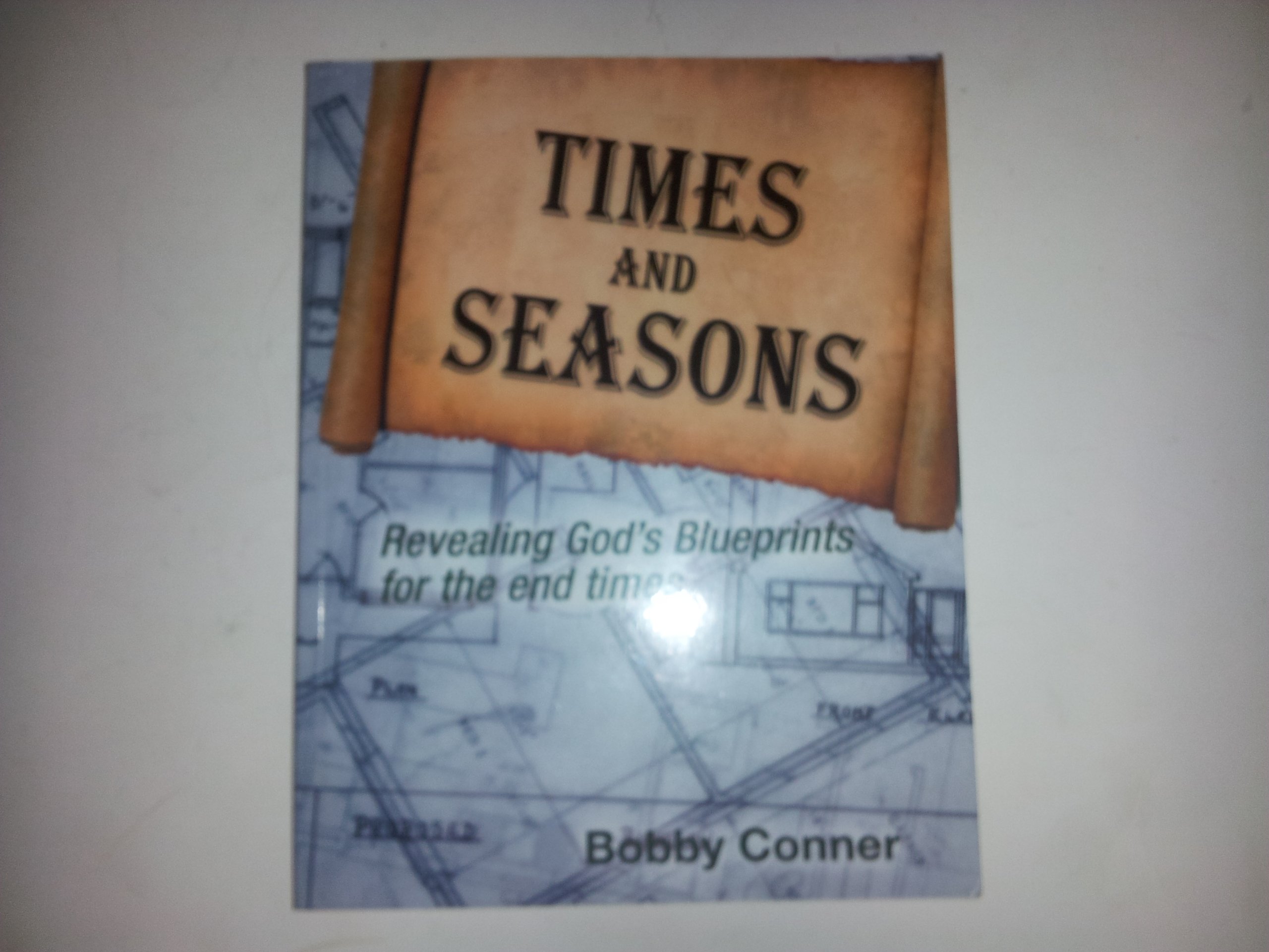 Cover of Times And Seasons - Revealing Gods Blueprints For The End Times