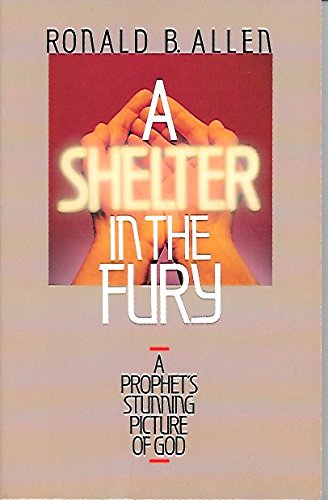 Cover of A Shelter in the Fury - Zephaniah