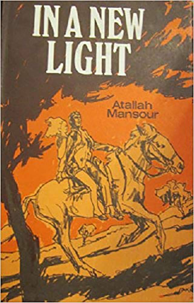 Cover of In A New Light