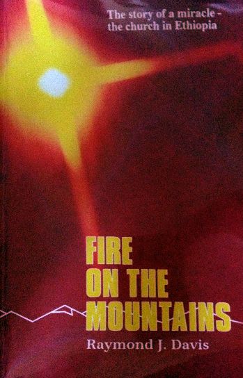 Cover of Fire on the Mountains